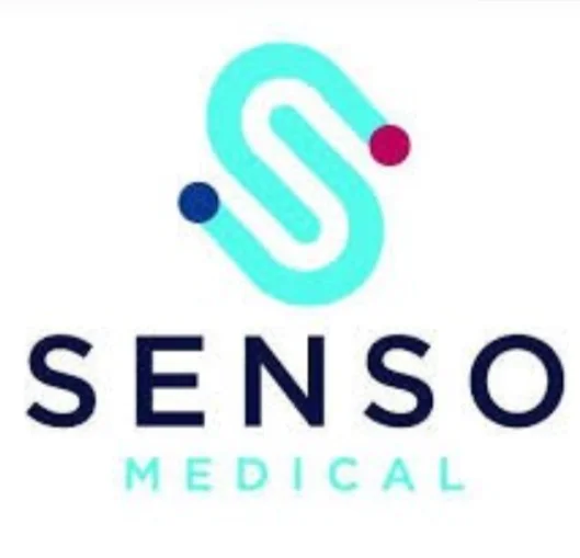 Senso logo