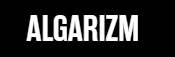ALGARIZM LTD